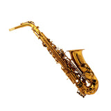 music dark gold lacquered alto saxophone Mark VI type high grade PC case