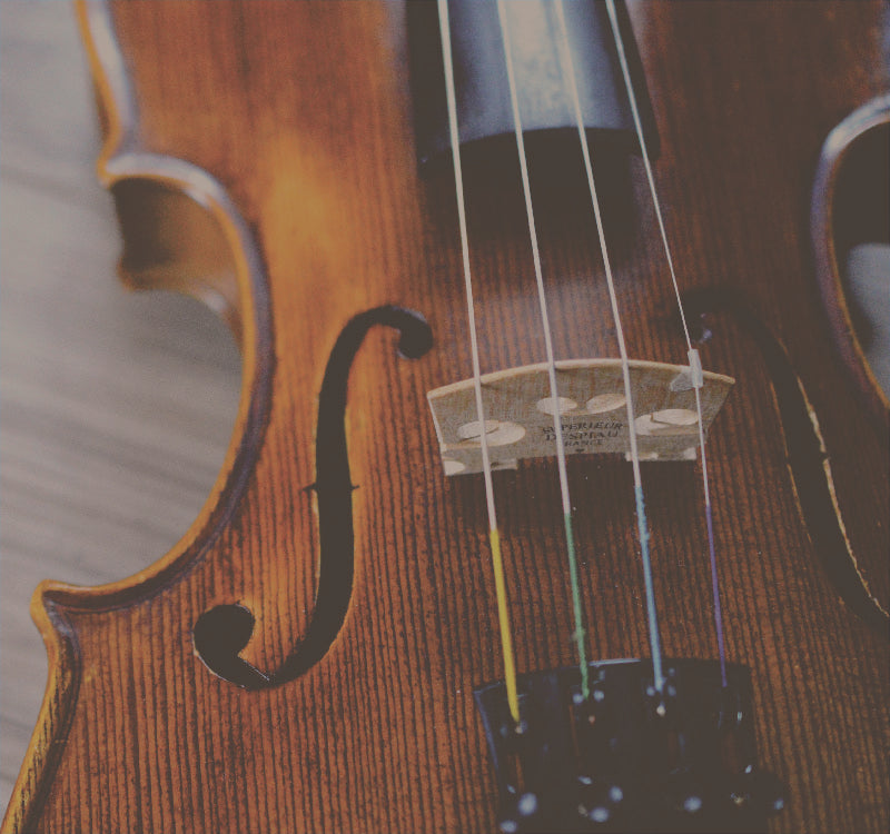 Violin