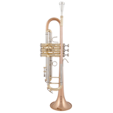 JM Silver plated Trumpet High Quality Brass Gold Lacquer B Flat Playing Musical Instrument Trumpet with Mouthpiece Case