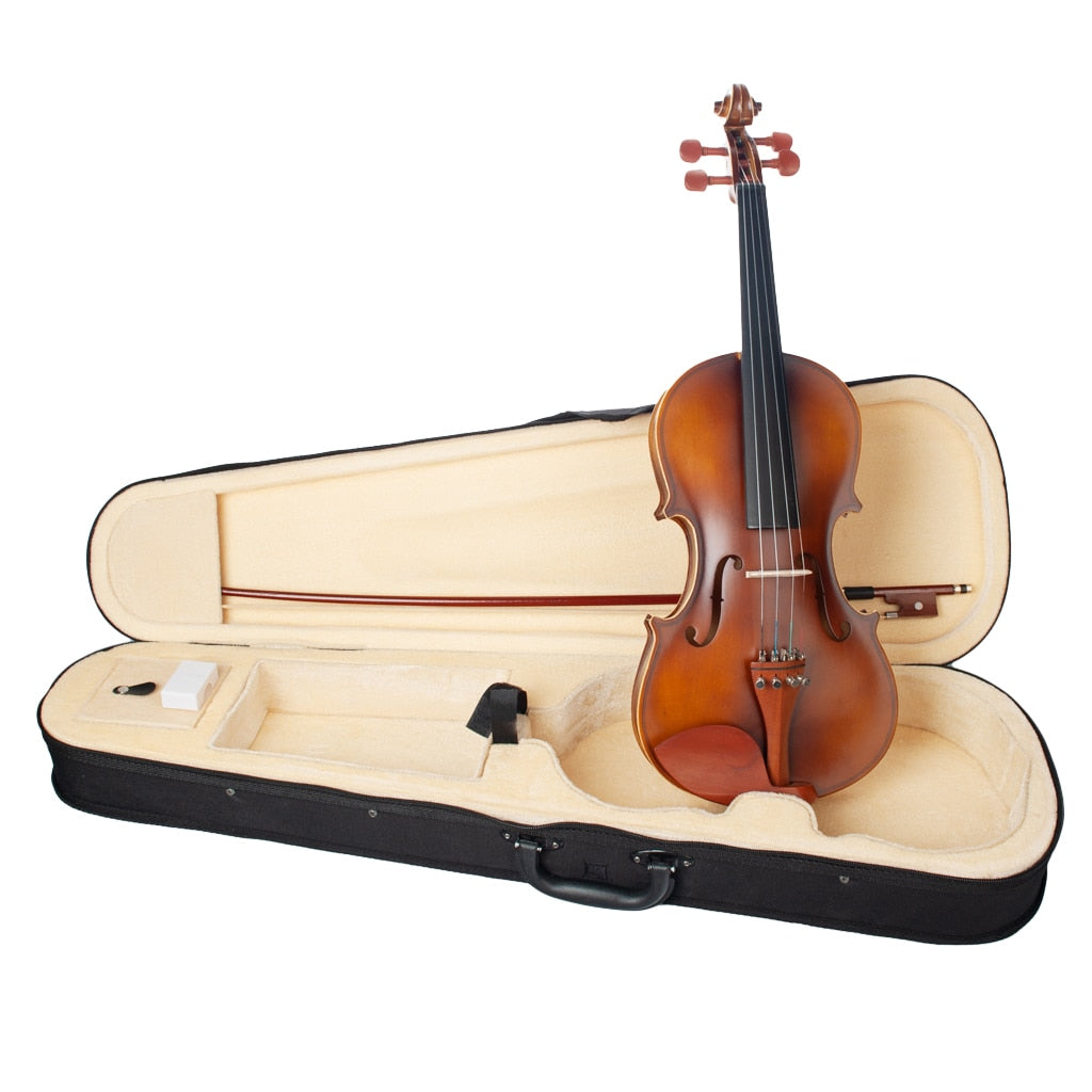 Professional 4/4 Full Size Acoustic Violin with Hard Case, Bow and Rosin Orchestra Bowed Stringed Instrument(Brown)