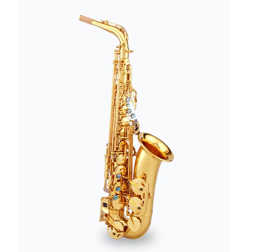 Chinese Brand Original Taishan TSAS-767 E flat Alto Saxophone Gold Lacquer Abalone Port Button for Adult and Child