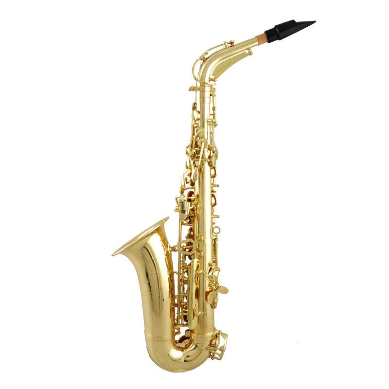 Capability style Saxophonist choose Alto Saxophone nickel alloy cooper Eb Sax gold lacquer falling tune E professional saxophone