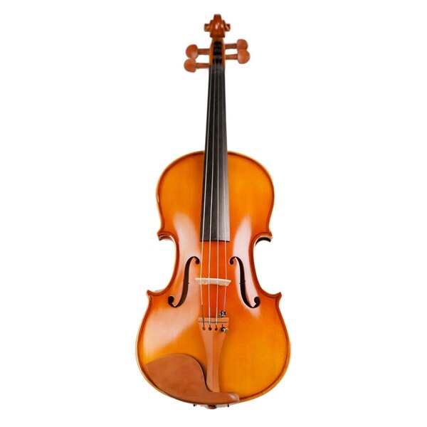 Students Maple Violin Stringed Musical Instrument with Case Bow Strings Full Set Jujube Wood Accessories