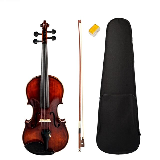 NAOMI Violin Outfit Full Size 4/4 Acoustic Student Violin with Case, Bow and Rosin