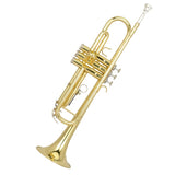 Bb golden trumpet brass outer covering trumpet musical instrument primary employ performance trumpet yellow brass wind music